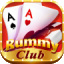 rummy vs 51 bonus