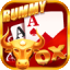 rummy ludo apk